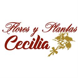 Flores y Plantas Cecilia