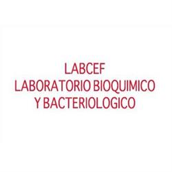 Labcef - Laboratorio Bioquimico y Bacteriologico