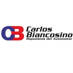 Carlos Biancosino - Repuestos de Automotor