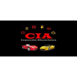 CIA INYECCION ELECTRONICA