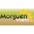 Morguen Vivero