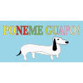 PELUQUERIA CANINA PONEME GUAPO