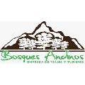 Bosques Andinos