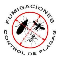 R.B Fumigaciones