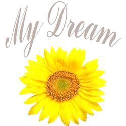 ORGANIZACION DE EVENTOS MY DREAM