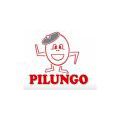 PILUNGO SRL