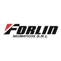 FORLIN NEUMATICOS - BRIDGESTONE - FIRESTONE - SHELL