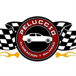 TALLER PELUCCIO