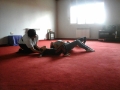 Yoga chino síntonia Natalia ponti