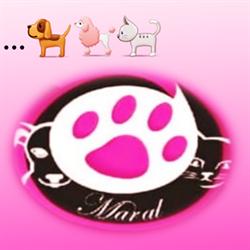 Maral Peluquería Canina
