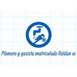 Plomero y Gasista Matriculado Roldan W