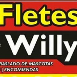 MINIFLETES WILLY "EL MEJOR PRECIO Y CONFIANZA"