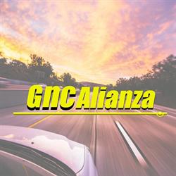 GNC ALIANZA DE MARCELO BRINGAS