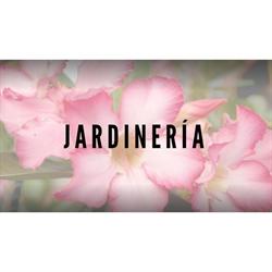 JARDINERIA  D NOVILLO