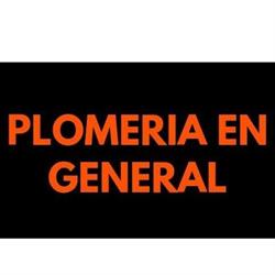 PLOMERIA EN GRAL