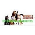 Veterinaria Mendecitos