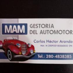 M.a.m Gestoria del Automotor
