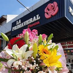 Floreria la Primaveral