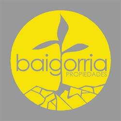 Baigoria Propiedades