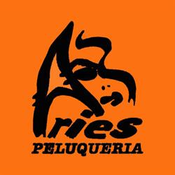 aries peluqueria
