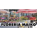 Floreria Maiko
