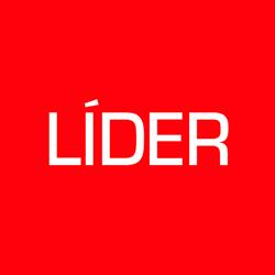 Lider Muebles Srl