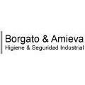 BORGATO  & AMIEVA Y ASOCIADOS