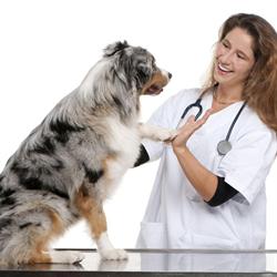VETERINARIA LUJAN