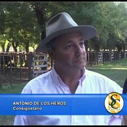 ANTONIO S DE LOS HEROS HACIENDA Y CAMPOS