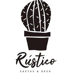 RUSTICO CACTUS Y DECO