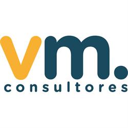 Vm Consultores