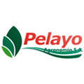 Pelayo Agronomía SA