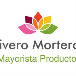 Morteros Vivero