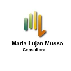 MLM Consultora