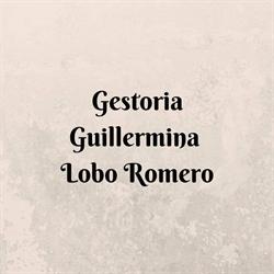 GESTORIA  GUILLERMINA  LOBO ROMERO