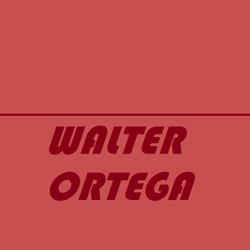 ESTETICA WALTER ORTEGA
