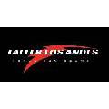 TALLER LOS ANDES - Taller de Cromado y Niquelado