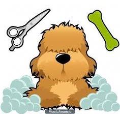 CHUNI´S