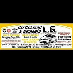 REPUESTERA LG