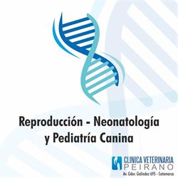 Clinica Veterinaria Peirano