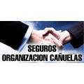 Organizacion Cañuelas