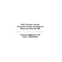 RAUL ENRIQUE JUNCOS