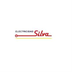 Electricidad del Automotor y Tacografos Silva