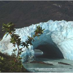 CALAFATE SUR