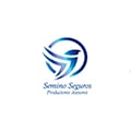 Semino Seguros Pas