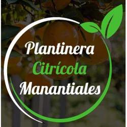 PLANTINERA CITRICOLA MANANTIALES
