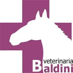 Veterinaria Baldini - Distribuidora Equina y Especialista en Equinos