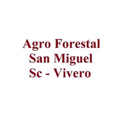 Agro Forestal San Miguel Sc - Vivero