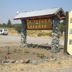 ANKARIS