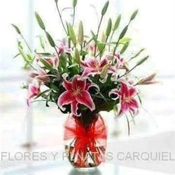 FLORES  CARQUIEL